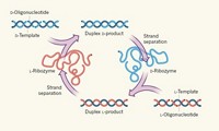 Serving the chemical, life science, and laboratory worlds