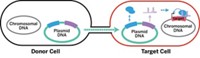 Serving the chemical, life science, and laboratory worlds