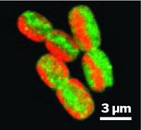 Serving the chemical, life science, and laboratory worlds