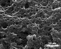 Serving the chemical, life science, and laboratory worlds