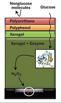 Serving the chemical, life science, and laboratory worlds