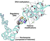 Serving the chemical, life science, and laboratory worlds