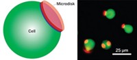 Serving the chemical, life science, and laboratory worlds