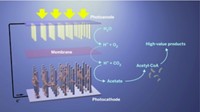 Serving the chemical, life science, and laboratory worlds