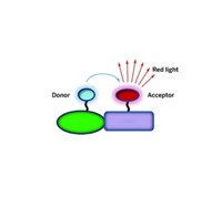 Serving the chemical, life science, and laboratory worlds