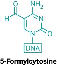 Serving the chemical, life science, and laboratory worlds