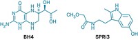 Serving the chemical, life science, and laboratory worlds