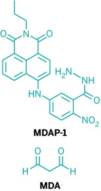 Serving the chemical, life science, and laboratory worlds