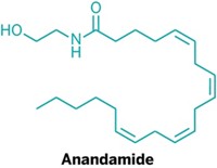 Serving the chemical, life science, and laboratory worlds