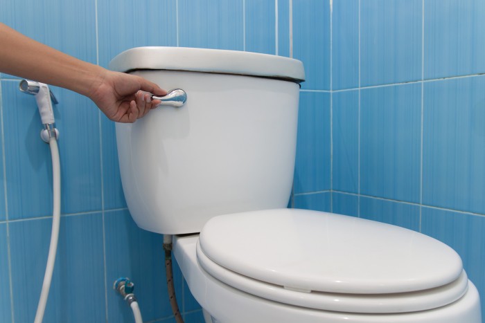 flush toilet after use