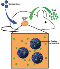Serving the chemical, life science, and laboratory worlds