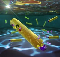 Serving the chemical, life science, and laboratory worlds