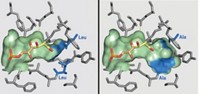 Serving the chemical, life science, and laboratory worlds