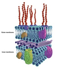 Serving the chemical, life science, and laboratory worlds