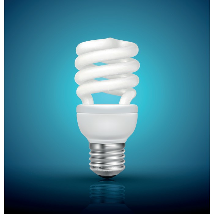 Cfl fluorescent deals light bulbs