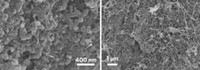 Serving the chemical, life science, and laboratory worlds