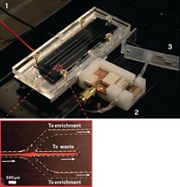 Serving the chemical, life science, and laboratory worlds