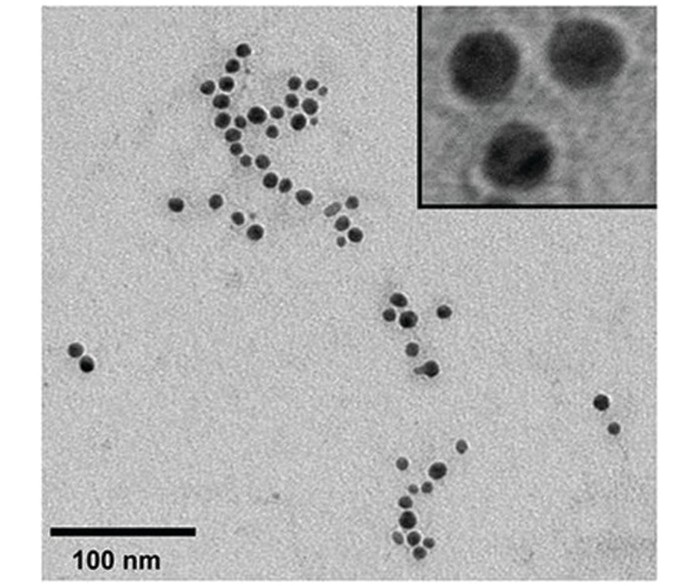 Engineered-microbes-make-silver-nanoparticles