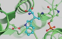 Serving the chemical, life science, and laboratory worlds