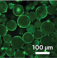 Serving the chemical, life science, and laboratory worlds