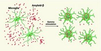 Serving the chemical, life science, and laboratory worlds