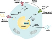 Serving the chemical, life science, and laboratory worlds