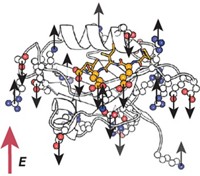 Serving the chemical, life science, and laboratory worlds