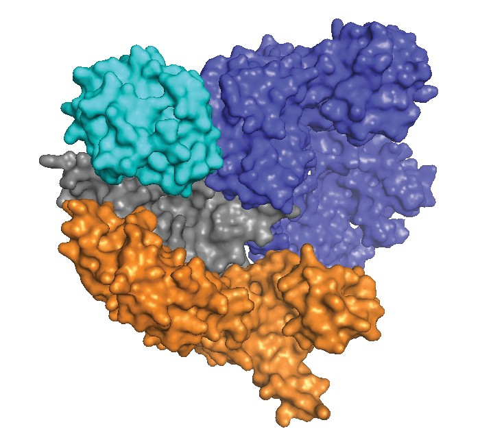 Expanding-CRISPR-toolkit-render-patent