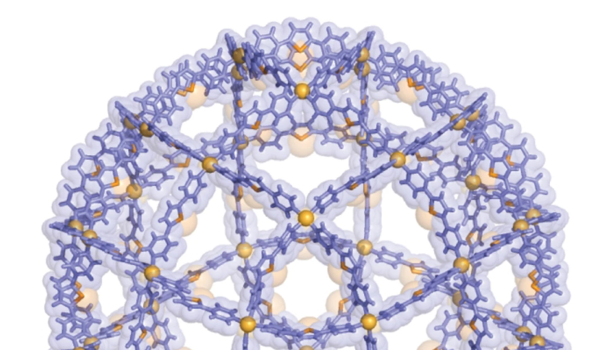 The biggest self-assembled supramolecular cage ever