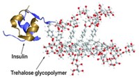 Serving the chemical, life science, and laboratory worlds