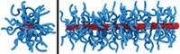 Serving the chemical, life science, and laboratory worlds