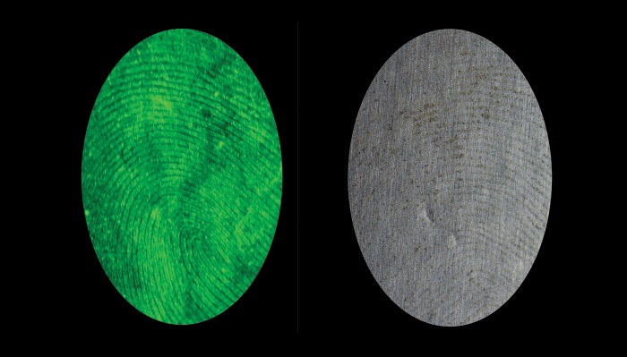 crime scene fingerprints