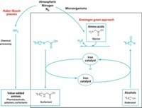 Serving the chemical, life science, and laboratory worlds