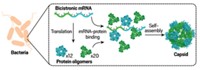 Serving the chemical, life science, and laboratory worlds