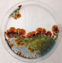 Serving the chemical, life science, and laboratory worlds