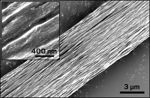 World's strongest biomaterial now comes from a tree﻿