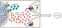 Serving the chemical, life science, and laboratory worlds