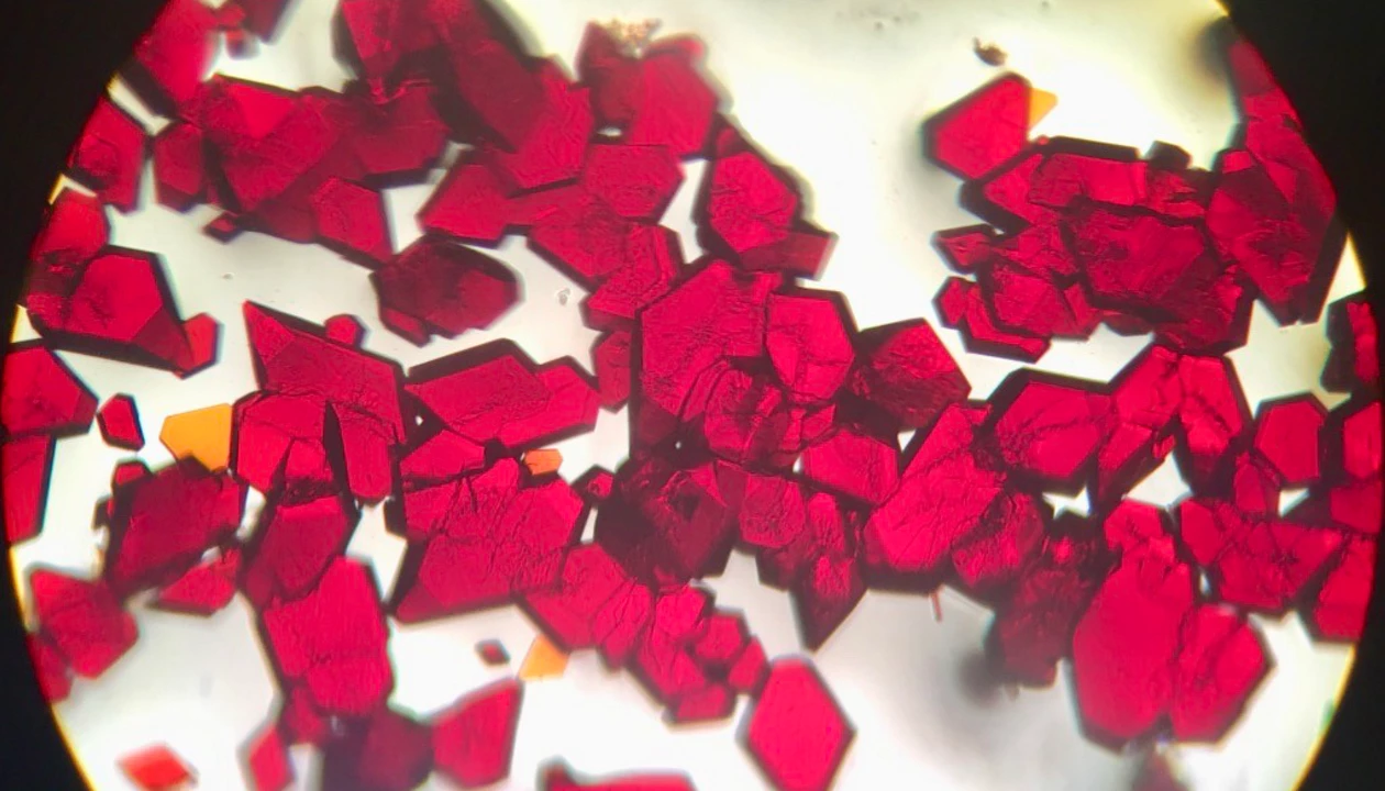 Chemistry in Pictures: Ruthenium rubies