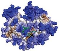 Serving the chemical, life science, and laboratory worlds