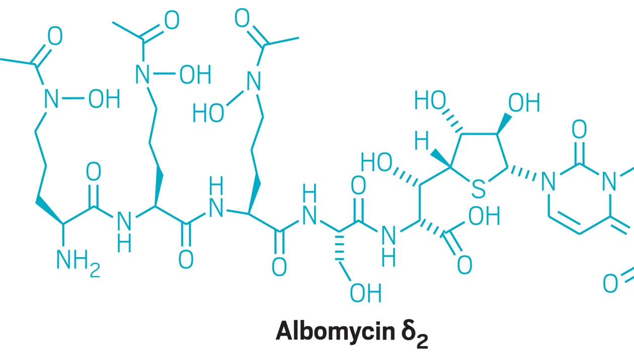 Albomycin antibiotics discovered decades ago﻿ fall to total synthesis
