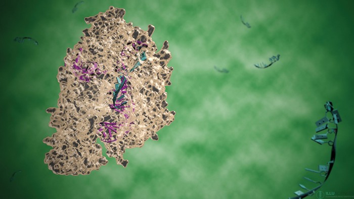 An artist's rendition of the Cas12a (Cpf1) enzyme.