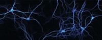 Serving the chemical, life science, and laboratory worlds