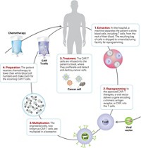 Serving the chemical, life science, and laboratory worlds