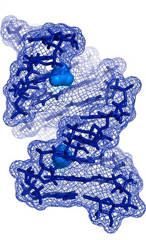 A computer-generated image of a methylated RNA duplex.
