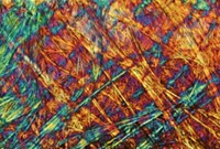 Serving the chemical, life science, and laboratory worlds