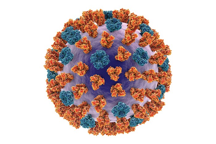 Images of Influenza Viruses
