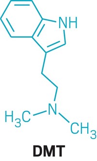 Serving the chemical, life science, and laboratory worlds