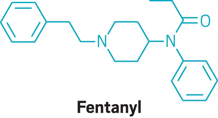 Antibodies reverse synthetic opioid overdoses in mice