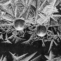Serving the chemical, life science, and laboratory worlds