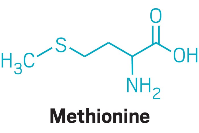 Метионин какая аминокислота. Метионин структурная формула. Химическое строение метионин. Метионин структура. Метионин аминокислота.